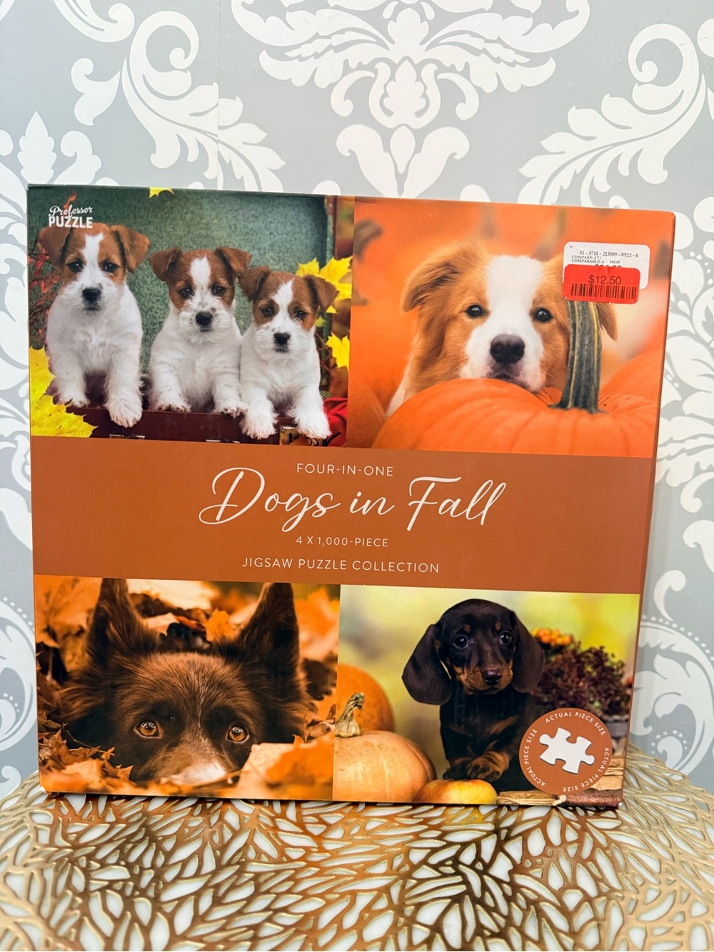 • Professor Puzzle Dogs in Fall 4-in-1 Jigsaw Puzzle Set